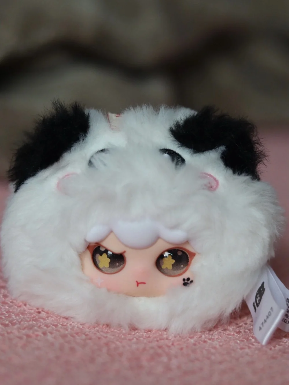 KIMIPAPA